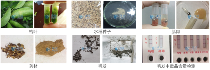 1720517920141554.png 1720517920141554.png